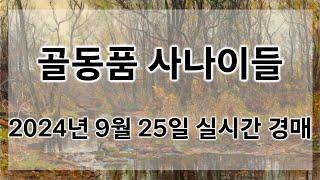 9월 25일 수요경매 실시간 생방송ㅣ골동품사나이들LIVE