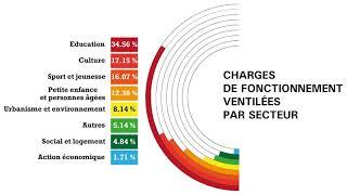 Le budget 2019 de la ville de Villeurbanne en chiffres