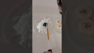 STARCH TEST ON VARIOUS FOOD MATERIALS | FOOD TEST EXPERIMENT | BIOLOGY STD 7-10