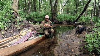 Риболовля на пересихаючому Стоході: Ловимо окунів, щуки і ділимося лайфхаками