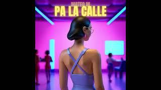 PA LA CALLE - MATEO M ( Visualizer )