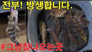 주차하고 바로잡는 남해 볼락낚시