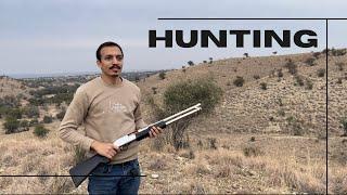 Hunting of Partridge at Jand Attock Pakistan | Waqas Vk