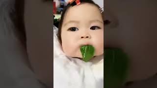 Respect || Asmr Tiktok
