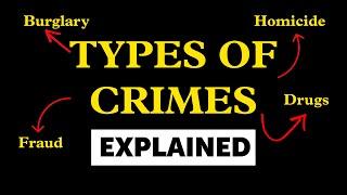 Types Of Crimes Explained in 5 Minutes