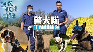 【 警隊101分鐘 ・ 警犬大不同 】