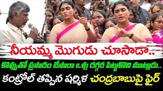 నీయమ్మ మొగు *డు చూసాడా YS Sharmila Aggressive  Chandrababu Comments On Tirupati Laddu : Janam Kosam