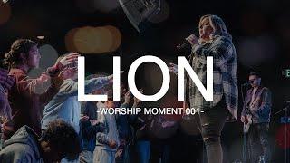 LION - Worship Moment 001 - #elevationworship #lion #worshipmoment