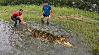 Hunter Confronts Dangerous Giant Crocodile | Fishing VLogs