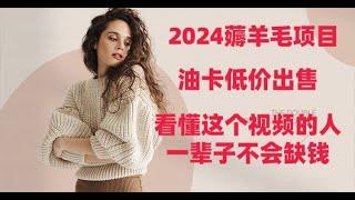 2024最新最稳灰产项目教程  日入三千 利用别人的平台赚取合法的收入