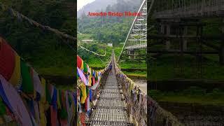 Amochu Hanging Bridge  | Amochu Bridge Phuentsholing  @sumanbasak981