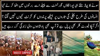 Random Facts Around The World | Part 74 | Urdu / Hindi