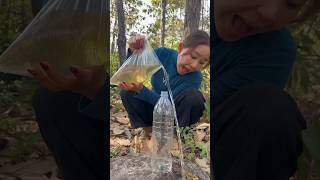 Survival Skills: easy methood saving water transfer to bottle #camping #bushcraft#water #smart#p255