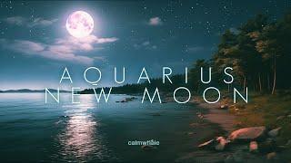 Aquarius Super New Moon :: Coming Home to Yourself :: Moon Music February 2024