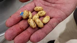 Spiral Type Mixing Machine For Making Seasoned Peanuts