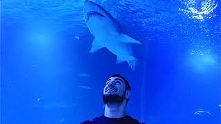 Oceanographic in Valencia, Spain 