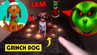 DO NOT ENTER THE GRINCH’S HIDEOUT BEFORE CHRISTMAS AT 3AM *WE FOUND THE GRINCHS DOG MAX*