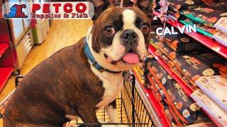 Taking My Boston Terrier Shopping at Petco…..Again 