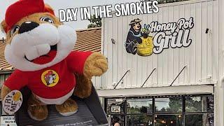 New Mom & Pop Eatery Honey Pot Grill / Buc-ee's Summer Merchandise / Backroads Drive to Bass Pro