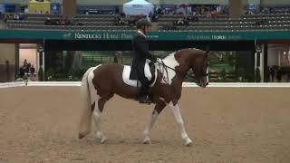 Grand Prix Freestyle Championship Open Winner   James Koford and Adiah HP