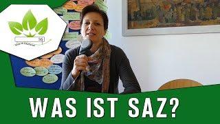 Was ist Schule als Zukunftsstaat?