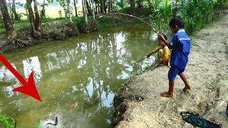 Fishing Video | Daily village life hook fishing (Part-315)