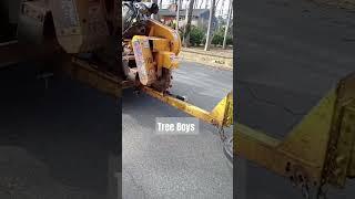 Tree Boys Bringing Stump Grinder #treework #treeclimber #treelife #treepeople #stumpgrinding