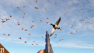 Duck LIMITS and CRANES in a LOADED Field! | Hunting a LARGE Pintail and Mallard Feed