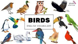 Birds and their names - Birds names in English