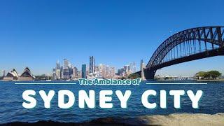 Kirribilli lookout - Sydney City view - Relaxing video