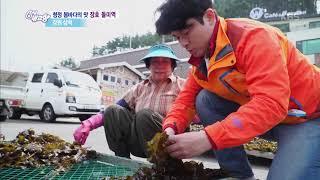 청정 봄바다의 맛 장호 돌미역 - 강원 삼척 [6시 내고향]20190527