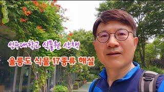 식물원 산책 - 6월 울릉도 식물 17종류 해설, 성남 신구대식물원 희귀, 자생식물 보전원 소개