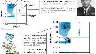 How to Interpret Ramachandran Plots