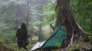 STRANDED IN A STORM - Solo Camping in 24 Hours of HEAVY RAIN Without a Tent