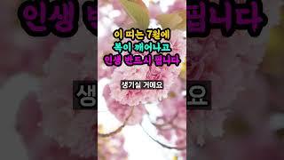 7월에 복이 깨어나 인생 피는 띠 호명합니다.