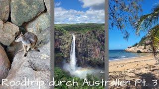 Vlog 32 - Australiens Ostküste - Ein Roadtrip nach Sydney // WALLAMAN FALLS & MAGNETIC ISLAND