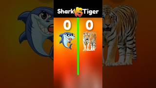 Shark vs Tiger ||#shorts