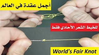 231230 World's Fair Knot  ربطة متينة للخيط الأحادي الشعر ... جربها الآن