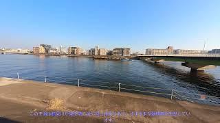 Tsurumi River Estuary Tidal Flat, Kanagawa 鶴見川河口干潟 神奈川縣