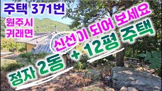 주택371번(3500만 인하 1억3천) 지붕 구운기와 아름드리 소나무 숲속  밑으로 숨쉬는 집 건강한 집 목구조/추가부자 약150여평 추가사용033-765-5998#원주주택매매#