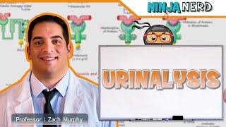 Urinalysis | Clinical Medicine