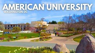 American University in Washington DC ️ | Walk With Me, Campus Tour | College in the City