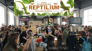 Полный обзор выставки продажи рептилиум (reptilium) 27 апреля 2019 года