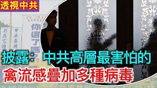 【透視中共-合集】中共公安部良心人士透露高層最怕的｜上海禁活禽交易 禽流感疊加多種病毒｜2025/01/10