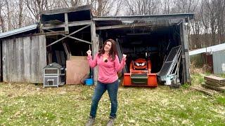 THE GREAT SHED CLEAN OUT