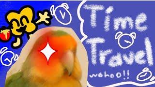 Time Travel With Birbthingy (Interactive video)  ( Original Idea by Carykh)