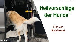 Heilvorschläge der Hunde - Film von Maja Nowak