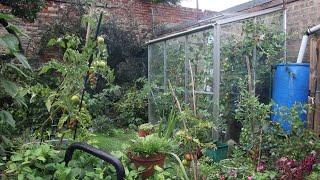 Prepper Fruit & Vegetable Garden