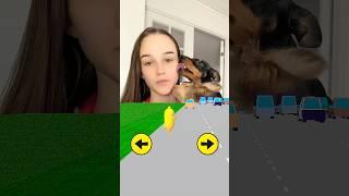 Playing in CHICKEN GAME with my dogs