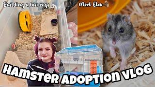 HUGE HAMSTER RESCUE VLOG 